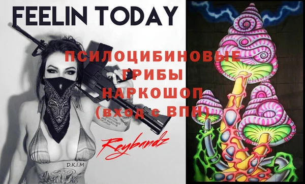 твердый Зеленокумск